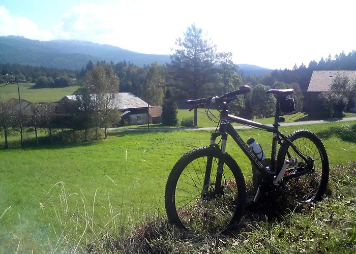 Ferienhaus Mit Seeblick