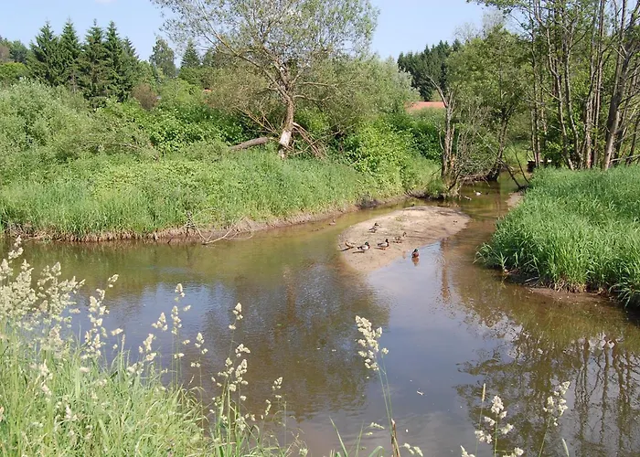 Ferienhaus Mit Seeblick