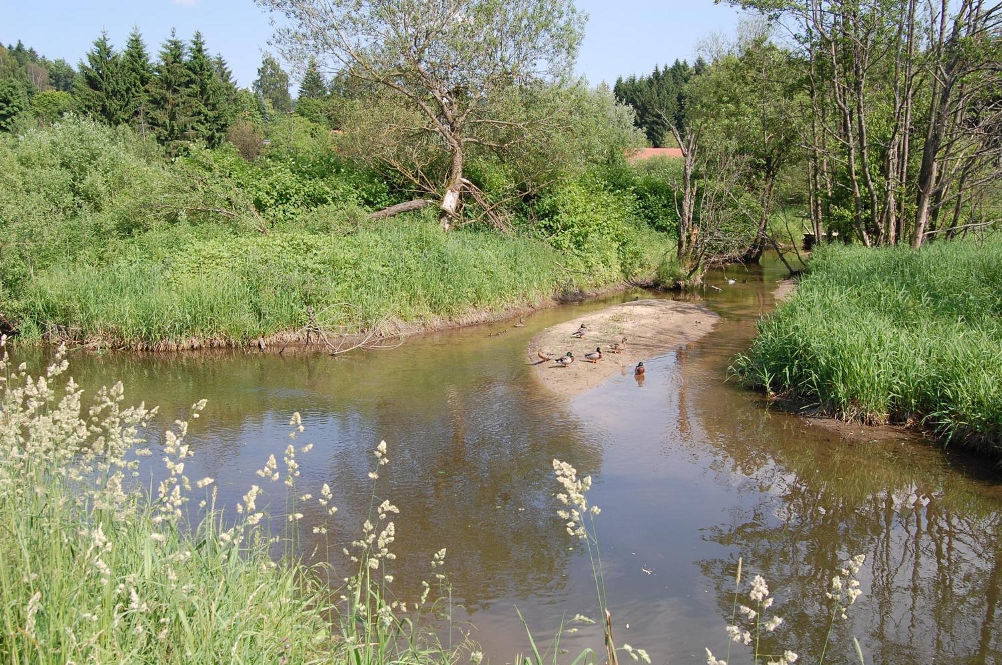 Mit Seeblick Waldkirchen