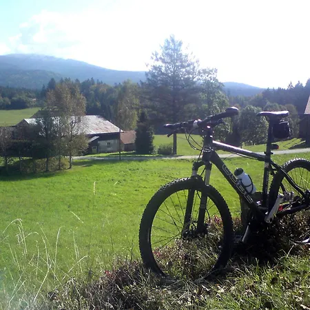 Ferienhaus Mit Seeblick Waldkirchen Eksteriør billede