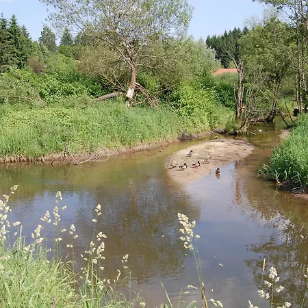 Ferienhaus Mit Seeblick Waldkirchen Eksteriør billede